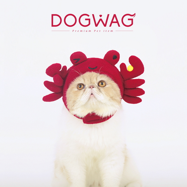도그웨그 강아지 고양이 핵인싸 코스튬 꽃게 모자