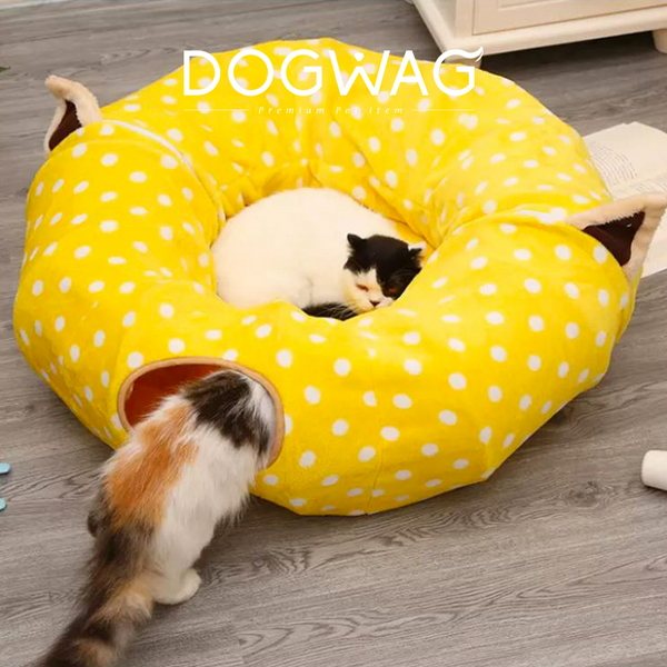 도그웨그 땡땡이 고양이 캣터널 숨숨집 장난감 하우스