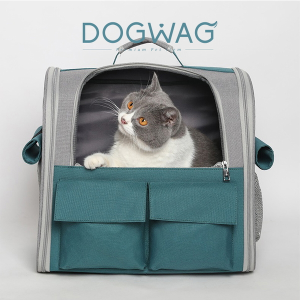 도그웨그 메쉬 백팩 강아지 산책 이동 가방 캐리어 고양이 이동장