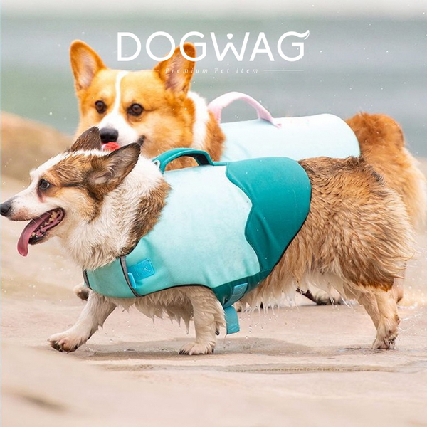 도그웨그 둥둥캔디 강아지 구명조끼 애견 수영 튜브 중형견 수영복 물놀이
