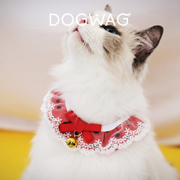 도그웨그 레인보우 스카프 고양이 크리스마스 악세사리 강아지 케이프