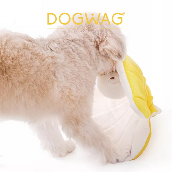 도그웨그 대왕 조개 노즈워크 강아지 간식 장난감 삑삑이 터그놀이 분리불안 훈련
