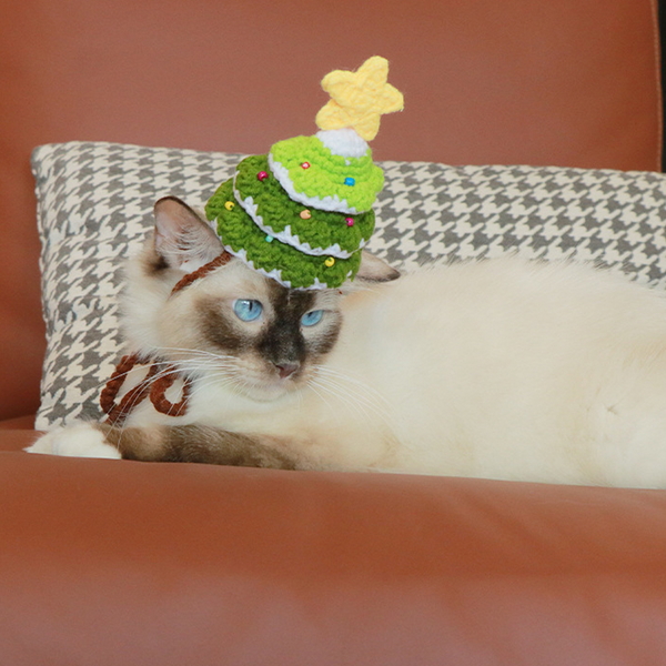 도그웨그 강아지 미니 트리 모자 크리스마스 고양이 악세사리