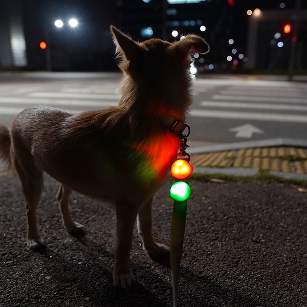 강아지 LED 블링커 목줄 장착형