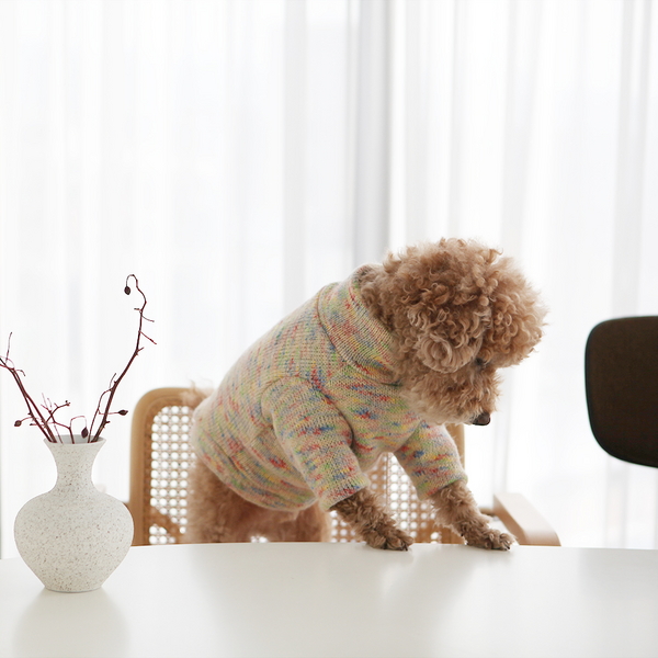 강아지옷 겨울니트 레인보우 청키 하이넥 스웨터(연베이지)