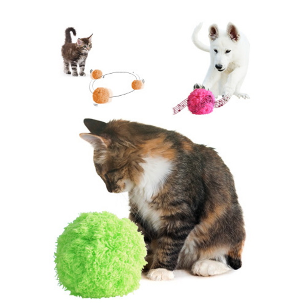 고양이 장난감 자동청소기 모코로볼