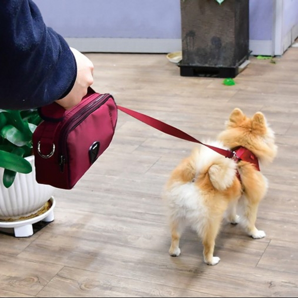 퍼피아 강아지 야외산책 활동 레디투고 리드줄가방