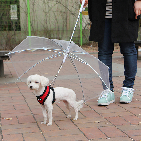 퍼피아 반려동물용 투명 우산
