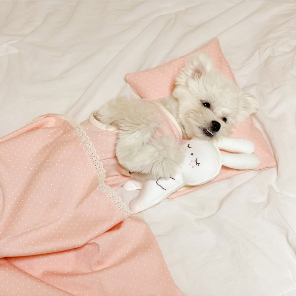오가닉 도트 꿀잠 사계절 강아지블랭킷 강아지이불 고양이이불