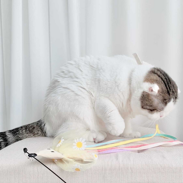 개달당 오징어 고양이 리본끈 낚시대 장난감 카샤카샤 리필