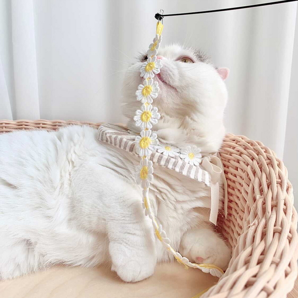 개달당 동백꽃 낚시대 고양이 끈 장난감 카샤카샤 리필 (색상랜덤