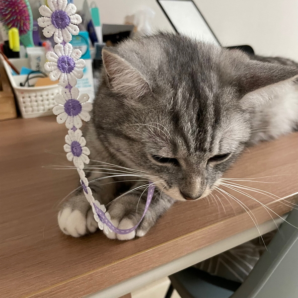 개달당 동백꽃 낚시대 고양이 끈 장난감 카샤카샤 리필 (색상랜덤