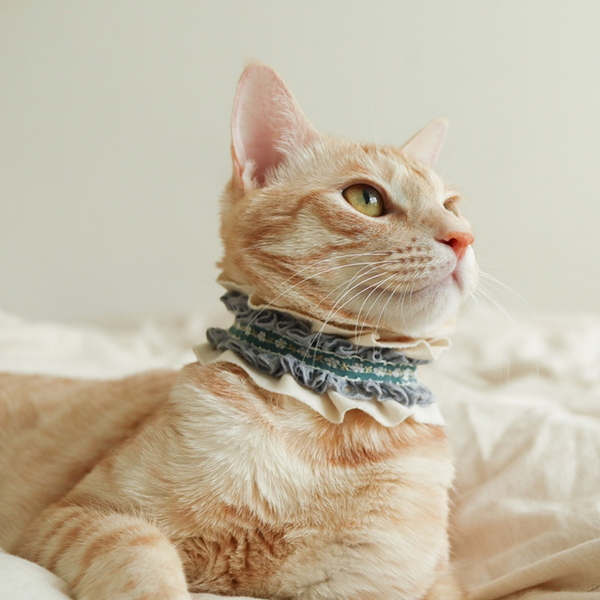 개달당 과즙팡팡 오가닉 셔링 초커 고양이목걸이 케이프 7colors