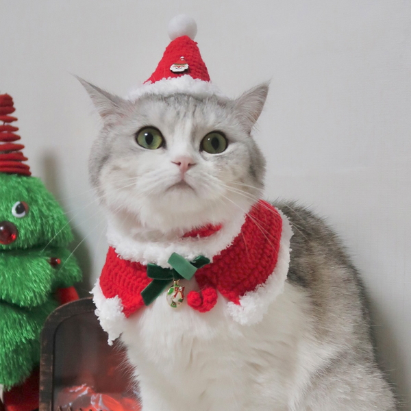 개달당 강아지 고양이 크리스마스 스노우 산타 모자 케이프 2종SET