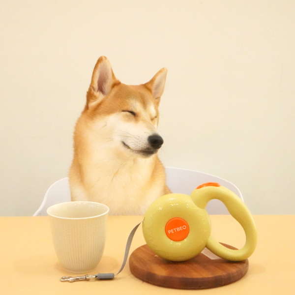 펫베오 강아지 산책 도넛 자동리드줄 자동줄 3M