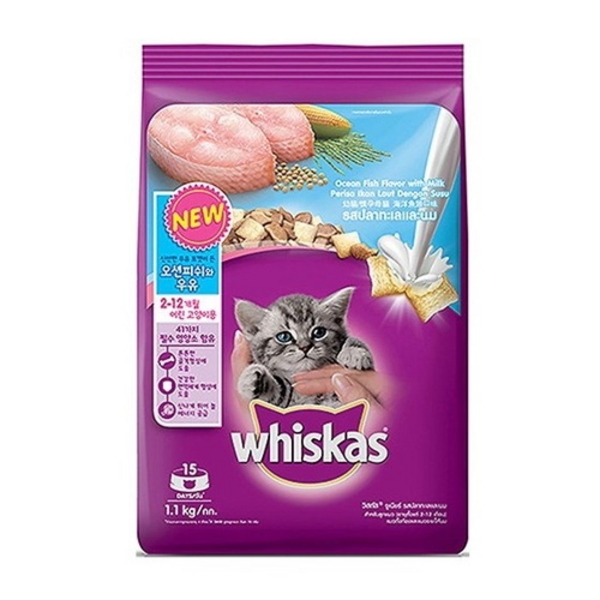 위스카스 고양이 사료 키튼 오션피쉬와 우유1.1kg